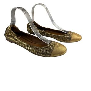 Tory Burch York Metallic Roccia Powder Suede Ballet Flat size 9